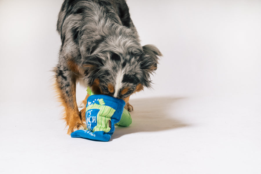 P.L.A.Y. Picked Fresh Crunch Bunch Toy: Dog playing celery bag toy with nose inside bag sniffing out treats on a white background