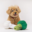 Load image into Gallery viewer, Small brown dog with P.L.A.Y.&#39;s Picked Fresh Veggie Munch Duo Toy Set on a white background
