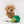 Load image into Gallery viewer, Small brown dog with P.L.A.Y.&#39;s Picked Fresh Veggie Munch Duo Toy Set on a white background
