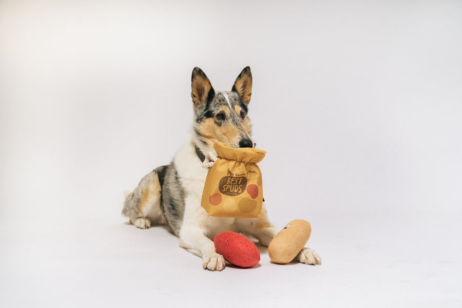 P.L.A.Y.'s Picked Fresh Potato Pals Toy: Dog sitting with a potato bag in its mouth and the two potatoes near its front paws on a white background