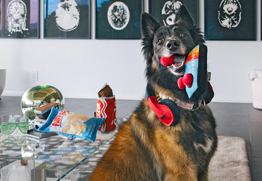 P.L.A.Y. 80s Classics Ready Player Fun Toy - big german shepard getting ready to game in the living room with joystick in the mouth