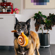 Load image into Gallery viewer, P.L.A.Y.&#39;s Pup Cup Cafe Collection - Cinna-bone Toy hanging from big dog&#39;s mouth in kitchen

