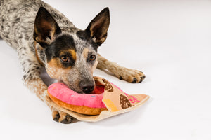 P.L.A.Y.'s Pup Cup Cafe Collection - Doughboy Donut Toy being used by pillow in cattle dog