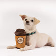 Load image into Gallery viewer, P.L.A.Y.&#39;s Pup Cup Cafe Collection - Doggo&#39;s Java Toy sitting between a little white dog&#39;s paws
