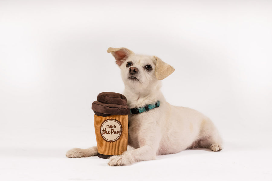 P.L.A.Y.'s Pup Cup Cafe Collection - Doggo's Java Toy sitting between a little white dog's paws