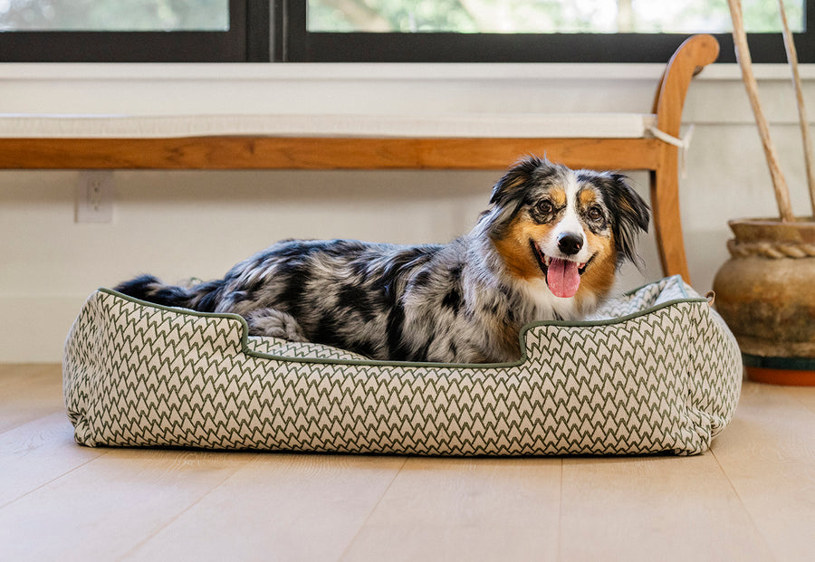 P.L.A.Y. Vineyard Lounge Bed Collection - Olive Green with fluff dog laying in it smiling at camera