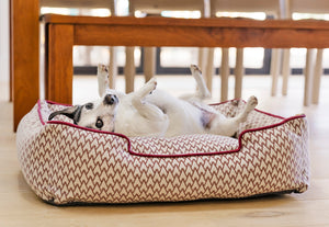 P.L.A.Y. Vineyard Lounge Bed Collection - Cabernet Red with small black and white dog laying on its back near dining room table