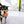 Load image into Gallery viewer, P.L.A.Y. Mini Party Time Collection - Bone-appetite Cake Toy in mouth of small black and brown dog staring into you
