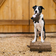 Load image into Gallery viewer, P.L.A.Y. Barnyard Buddies Harley the Horse in black and white dog&#39;s mouth standing on a log in front of a barn

