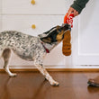 Load image into Gallery viewer, Snack Attack Collection by P.L.A.Y. Mini Good Boy Cola Toy small dog grabbing onto soda pulling out of can while human holds on
