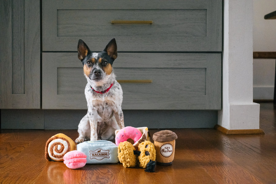 Pup Cup Cafe Collection Dog Toys by