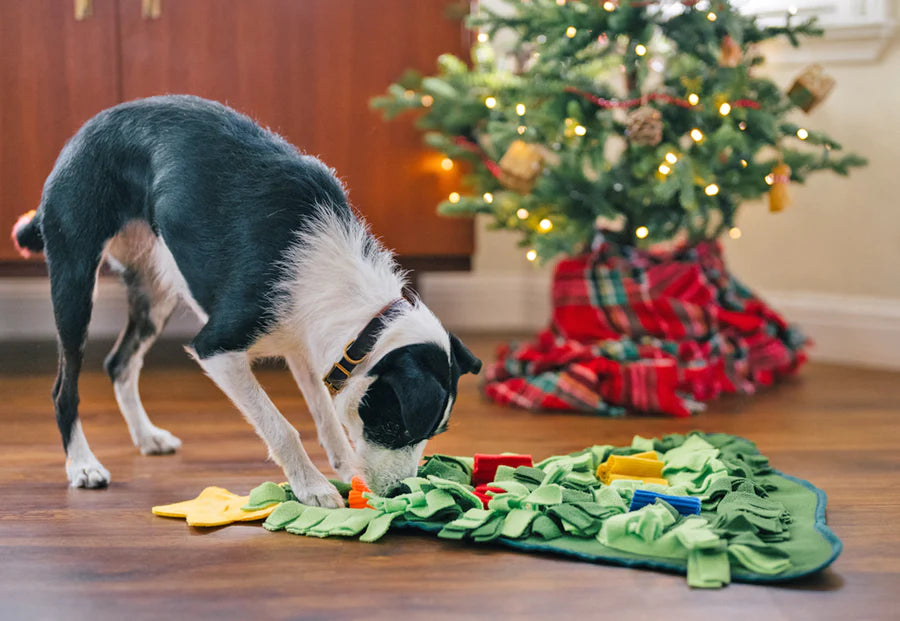 P.L.A.Y. Holiday Snuffle Mat - medium sized black and white dog nosing the tree mat in front of an actual Christmas Tree