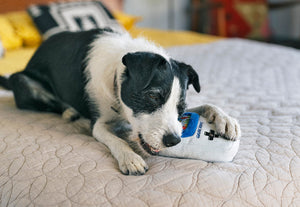 P.L.A.Y. 90s Classics Collection - Game Bone Toy being enjoyed by black and white pup laying on a bed