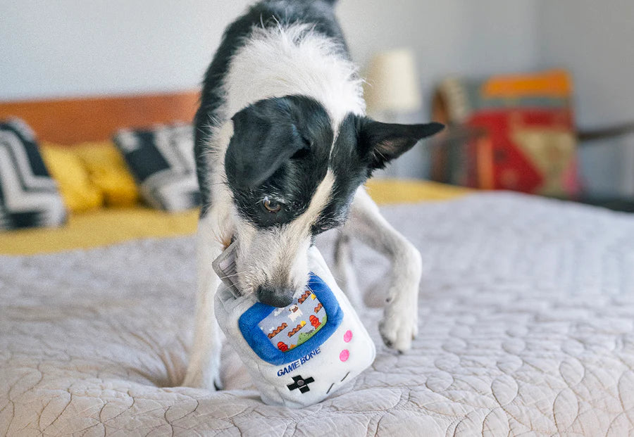 P.L.A.Y. 90s Classics Collection - Game Bone Toy being played with by black and white dog on top of bed