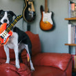 Load image into Gallery viewer, P.L.A.Y. 90s Classics Collection - Rock 'n Rollover Toy being held in black and white dog's mouth by strap on top of a red couch with guitars in background
