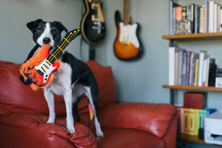 P.L.A.Y. 90s Classics Collection - Rock 'n Rollover Toy being held in black and white dog's mouth by strap on top of a red couch with guitars in background