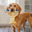 Load image into Gallery viewer, P.L.A.Y. Paw-nukkah Collection Menorah Toy - candles being held in a brown dog&#39;s mouth in front of a fireplace in a living room
