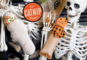 Feline Frenzy Halloween Kicker Toys by P.L.A.Y. - posing with skeleton