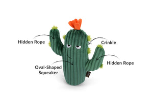 Blooming Buddies Collection by P.L.A.Y. Prickly Cactus Toy with features pointed out