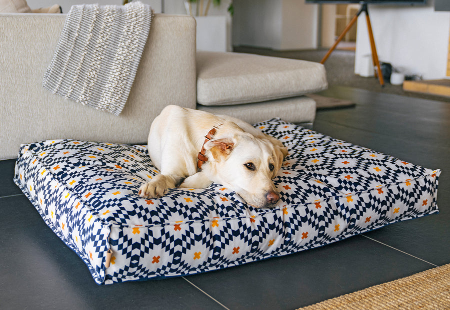Marina Boxy Bed in Cobalt Blue with dog laying on print side