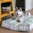 Load image into Gallery viewer, Husky dog lounging on Seaside Boxy Bed in Sea Glass with solid side facing up
