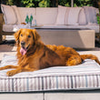 Load image into Gallery viewer, Dog laying on Seaside Boxy Bed in Sea Glass with stripes up and tongue out 
