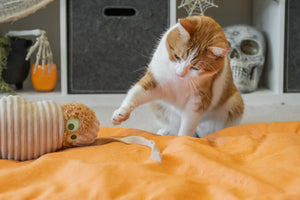 Feline Frenzy Halloween Kicker Toys by P.L.A.Y. - cat trying to claw the Meow-my toy string