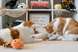 Feline Frenzy Halloween Kicker Toys by P.L.A.Y. - two cats pawing the Meow-my toy