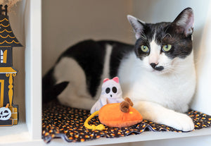 P.L.A.Y. Feline Frenzy Halloween Toy Collection - Ghost and Orange Mouse toys shown with black and white cat