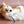 Load image into Gallery viewer, P.L.A.Y. Feline Frenzy Halloween Toy Collection - ginger cat playing with sand colored mouse toy

