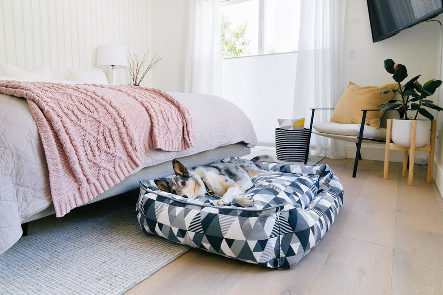 Mosaic Lounge Bed by P.L.A.Y. in Tuxedo with dog laying in it at foot of bed in bedroom