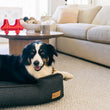 Load image into Gallery viewer, Urban Denim Lounge Bed by P.L.A.Y. with Chocolate Trim with dog lounging in it in living room
