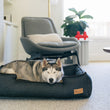 Load image into Gallery viewer, Urban Denim Lounge Bed by P.L.A.Y. with Chocolate Trim with Husky Dog sleeping in it in living room
