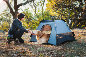 Scout & About Landscape Series Outdoor Dog Tent by P.L.A.Y. -  human and dog enjoying Eclipse tent in middle of the woods