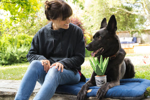 Blooming Buddies Collection by P.L.A.Y. Aloe-ve You Toy with dog on Original Chill Pad hanging out with dog mom