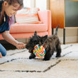 Load image into Gallery viewer, Snack Attack Collection by P.L.A.Y. Lollipup Toy with dog
