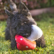 Load image into Gallery viewer, Blooming Buddies Collection by P.L.A.Y. Mutt&#39;s Mushroom Toy in dog&#39;s mouth outside
