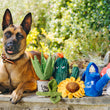 Load image into Gallery viewer, Blooming Buddies Collection by P.L.A.Y. with dog
