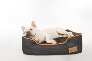 Urban Denim Lounge Bed by P.L.A.Y. with Mandarin Trim with sweet white Frenchie sleeping in it