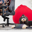 Load image into Gallery viewer, HyperX x P.L.A.Y. Pulsefur Mat - Dog chilling out on the mat while dog dad games at desk
