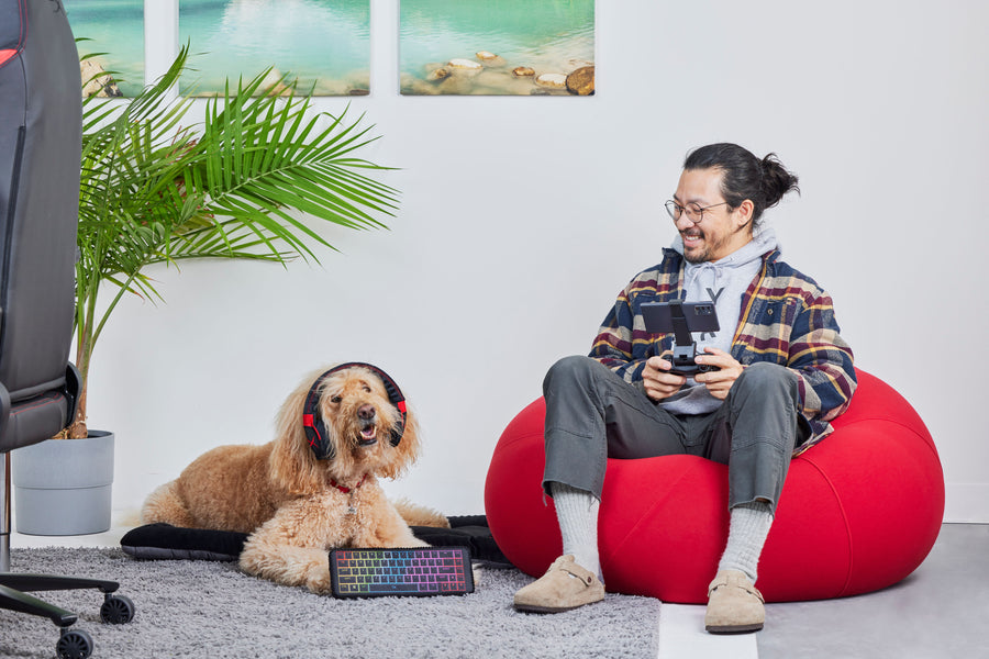 HyperX x P.L.A.Y. Pulsefur Mat - Jagger a Goldendoodle sitting on Chill Pad wearing Cloud Arfa Gaming Headset with dog dad smiling down from red bean bag chair while gaming