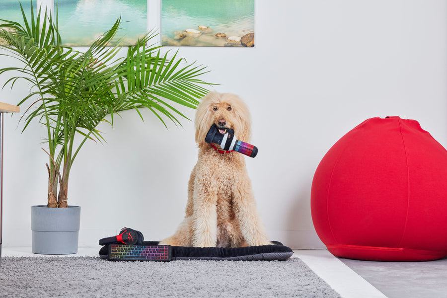 HyperX x P.L.A.Y. Pulsefur Mat - Jagger a Goldendoodle sitting on Chill Pad with toy in his mouth
