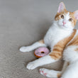 Load image into Gallery viewer, P.L.A.Y. Feline Frenzy Kitty Kreme Donuts Toy Set - lifestyle image with orange and white cat looking up from ground with pink donut between its front paws

