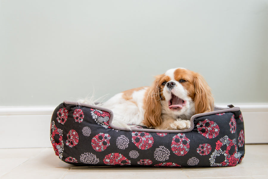 Skull Roses Dog Bed from – Extra Soft Velvet Dog Bed