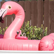 Load image into Gallery viewer, P.L.A.Y.&#39;s Tropical Paradise Collection Flamingo Floatie Toy floating on a big Flamingo Float in pool
