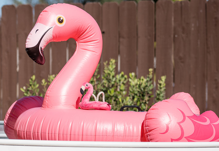 P.L.A.Y.'s Tropical Paradise Collection Flamingo Floatie Toy floating on a big Flamingo Float in pool