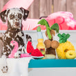 Load image into Gallery viewer, P.L.A.Y.&#39;s Tropical Paradise Collection pictured with dog
