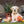 Load image into Gallery viewer, Camp Corbin Toy Set by P.L.A.Y. with Lab sitting outside in backyard
