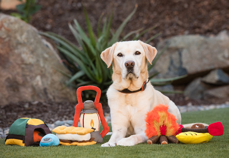 Camp Corbin Toy Set by P.L.A.Y. with Lab sitting outside in backyard