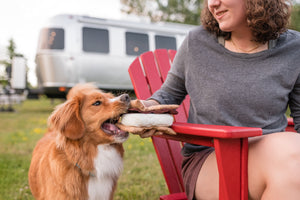P.L.A.Y. 's Camp Corbin Gimme Smores Toy being offered to dog by human at a campground